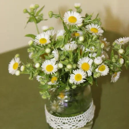 Gorec * Яремча