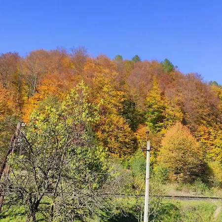 Деревянный коттедж Gorec