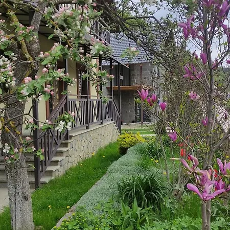 Деревянный коттедж Gorec Яремча