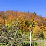Gorec